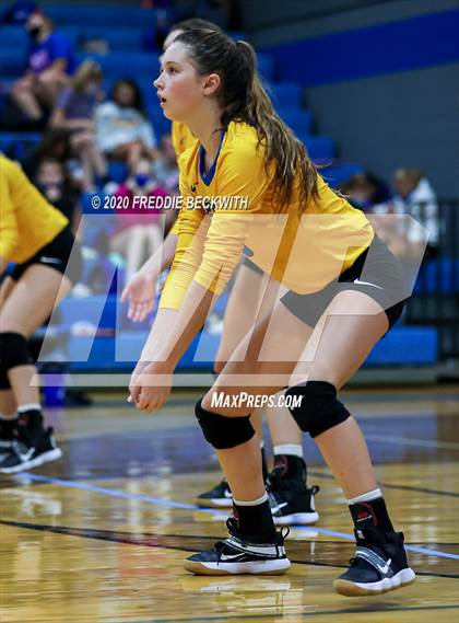Thumbnail 1 in Leonard @ Gunter photogallery.