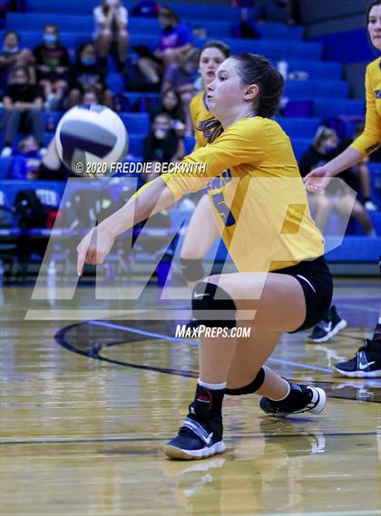 Thumbnail 1 in Leonard @ Gunter photogallery.