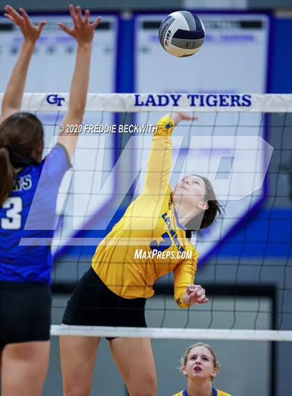 Thumbnail 1 in Leonard @ Gunter photogallery.