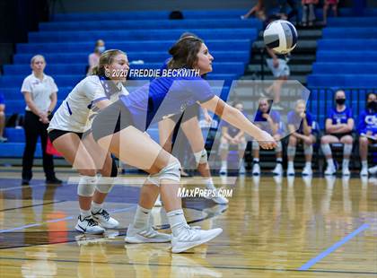 Thumbnail 1 in Leonard @ Gunter photogallery.