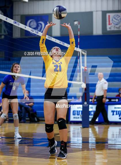 Thumbnail 2 in Leonard @ Gunter photogallery.