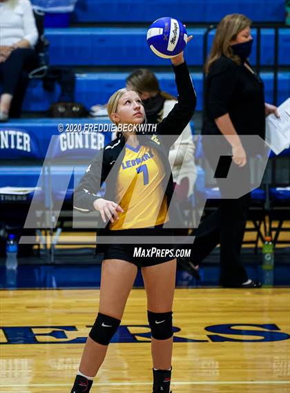 Thumbnail 2 in Leonard @ Gunter photogallery.