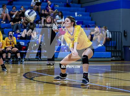 Thumbnail 3 in Leonard @ Gunter photogallery.
