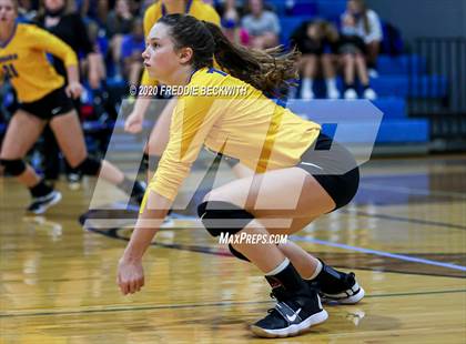 Thumbnail 3 in Leonard @ Gunter photogallery.