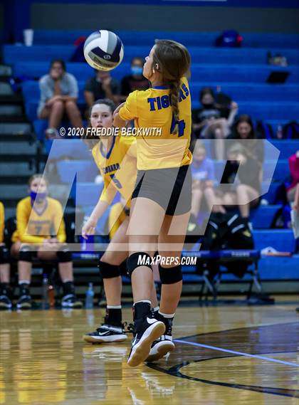 Thumbnail 2 in Leonard @ Gunter photogallery.