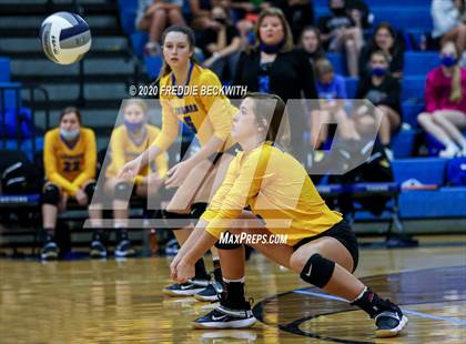 Thumbnail 2 in Leonard @ Gunter photogallery.