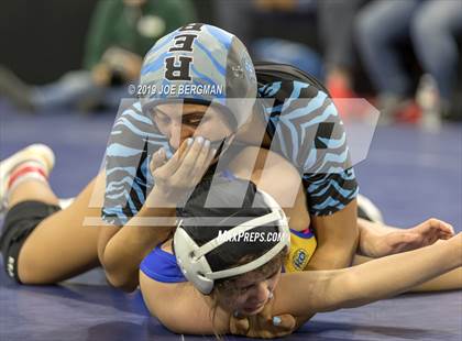 Thumbnail 2 in CIF State Girls Wrestling Championships (Championship Round 1) photogallery.