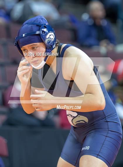Thumbnail 2 in CIF State Girls Wrestling Championships (Championship Round 1) photogallery.