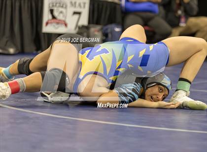Thumbnail 2 in CIF State Girls Wrestling Championships (Championship Round 1) photogallery.