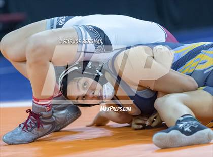 Thumbnail 3 in CIF State Girls Wrestling Championships (Championship Round 1) photogallery.