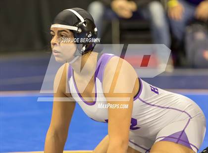 Thumbnail 2 in CIF State Girls Wrestling Championships (Championship Round 1) photogallery.