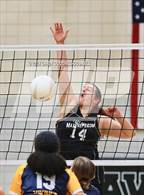 Photo from the gallery "D.H. Conley @ Havelock"