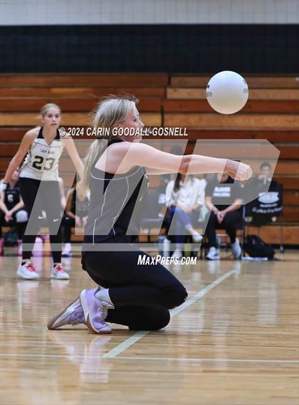 Thumbnail 2 in D.H. Conley @ Havelock photogallery.