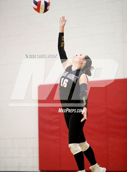 Thumbnail 3 in Blue Ridge vs Mogollon (The Florence VB Invitational) photogallery.
