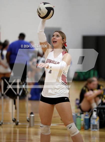 Thumbnail 2 in Blue Ridge vs Mogollon (The Florence VB Invitational) photogallery.