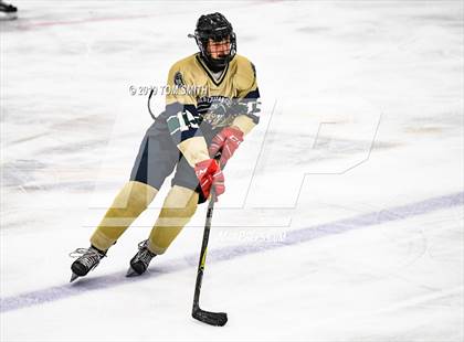 Thumbnail 3 in Toms River North @ Freehold Boro photogallery.