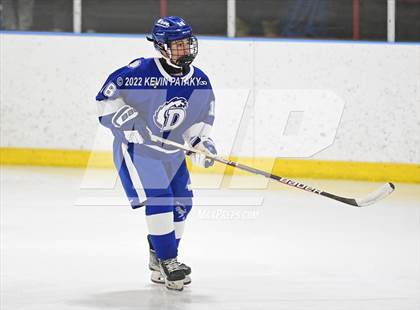 Thumbnail 2 in Darien @ Fairfield Prep photogallery.