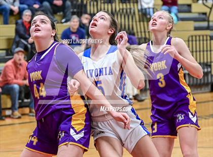 Thumbnail 1 in York @ Livonia photogallery.
