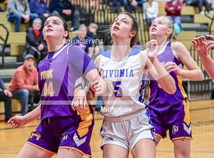 Thumbnail 2 in York @ Livonia photogallery.