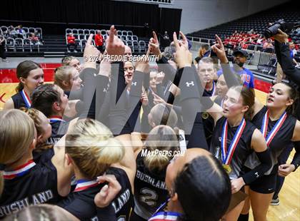 Thumbnail 2 in Goliad vs. Bushland (UIL 3A Volleyball Division I Final Medal Ceremony) photogallery.