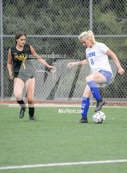 Thumbnail 1 in Chino Valley vs. Round Valley  Rim Country Tournament  photogallery.