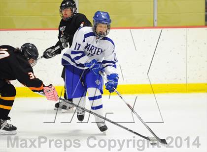 Thumbnail 3 in Stamford/Westhill/Staples @ Darien photogallery.