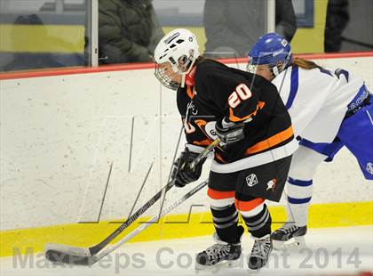Thumbnail 1 in Stamford/Westhill/Staples @ Darien photogallery.