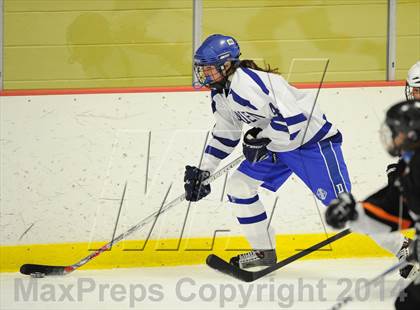Thumbnail 3 in Stamford/Westhill/Staples @ Darien photogallery.