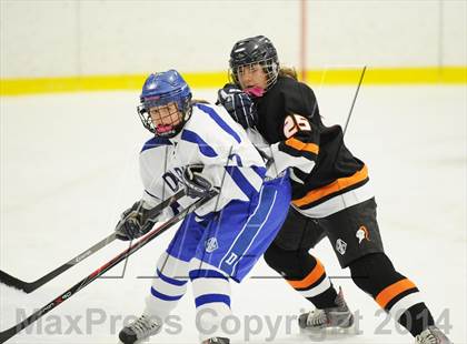 Thumbnail 3 in Stamford/Westhill/Staples @ Darien photogallery.