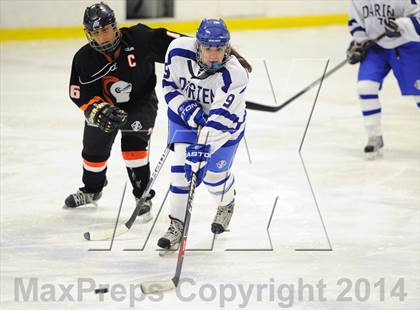 Thumbnail 3 in Stamford/Westhill/Staples @ Darien photogallery.