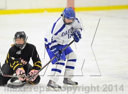Thumbnail 3 in Stamford/Westhill/Staples @ Darien photogallery.