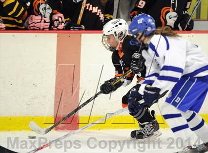 Thumbnail 3 in Stamford/Westhill/Staples @ Darien photogallery.