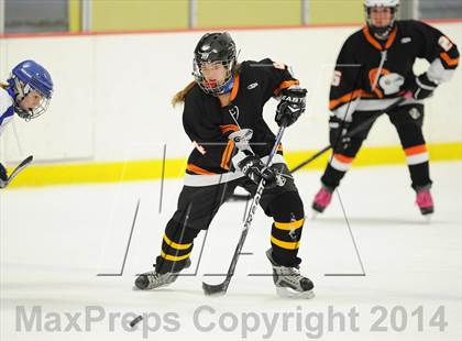 Thumbnail 2 in Stamford/Westhill/Staples @ Darien photogallery.