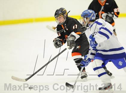Thumbnail 3 in Stamford/Westhill/Staples @ Darien photogallery.