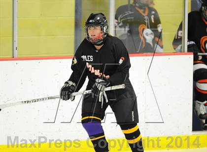 Thumbnail 1 in Stamford/Westhill/Staples @ Darien photogallery.