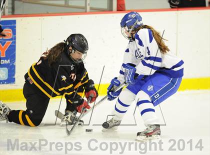 Thumbnail 3 in Stamford/Westhill/Staples @ Darien photogallery.