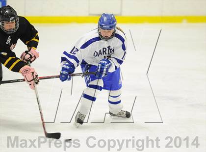 Thumbnail 1 in Stamford/Westhill/Staples @ Darien photogallery.