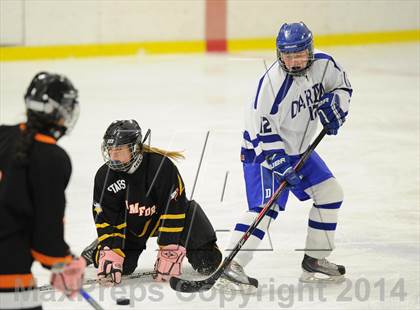 Thumbnail 1 in Stamford/Westhill/Staples @ Darien photogallery.
