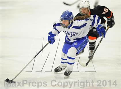 Thumbnail 1 in Stamford/Westhill/Staples @ Darien photogallery.