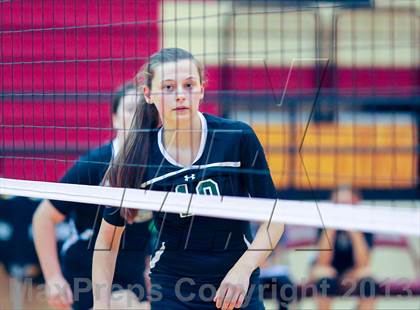 Thumbnail 1 in Birdville vs Haltom (EMS-ISD Tournament) photogallery.