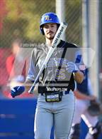 Photo from the gallery "Terra Linda @ Tamalpais"