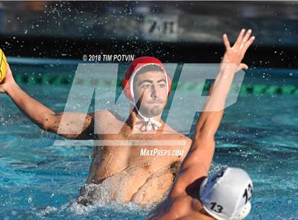 Thumbnail 2 in Woodbridge vs La Jolla photogallery.