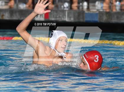 Thumbnail 3 in Woodbridge vs La Jolla photogallery.