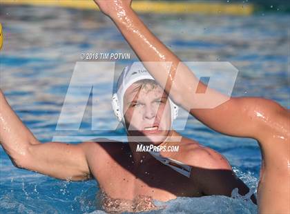 Thumbnail 1 in Woodbridge vs La Jolla photogallery.