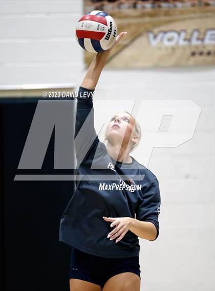 Thumbnail 1 in Perry @ Hamilton photogallery.