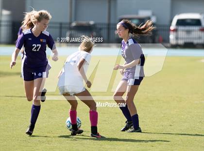 Thumbnail 3 in Girls Prep vs Father Ryan photogallery.