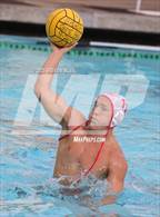 Photo from the gallery "Cathedral Catholic @ Bishop's"