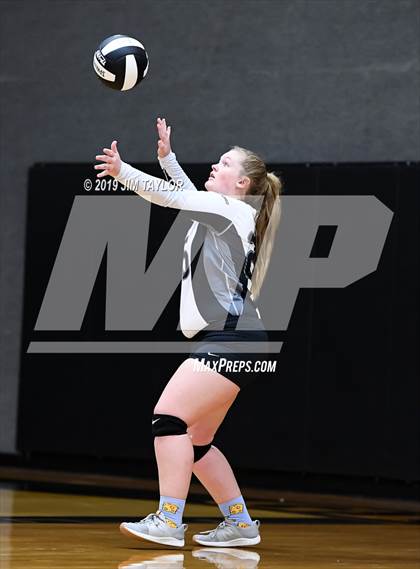 Thumbnail 3 in Chico @ Graford photogallery.