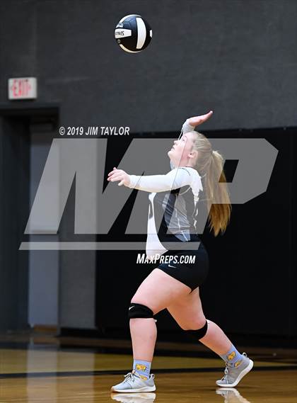 Thumbnail 3 in Chico @ Graford photogallery.