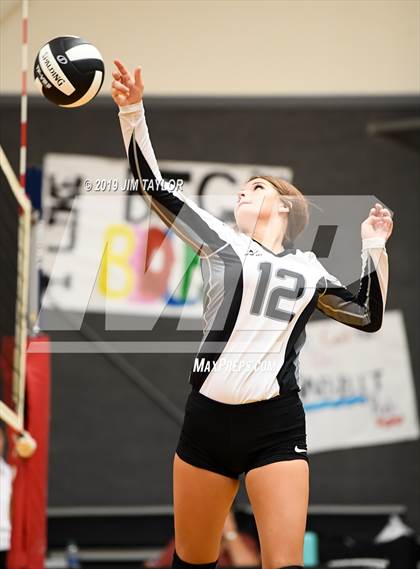 Thumbnail 3 in Chico @ Graford photogallery.